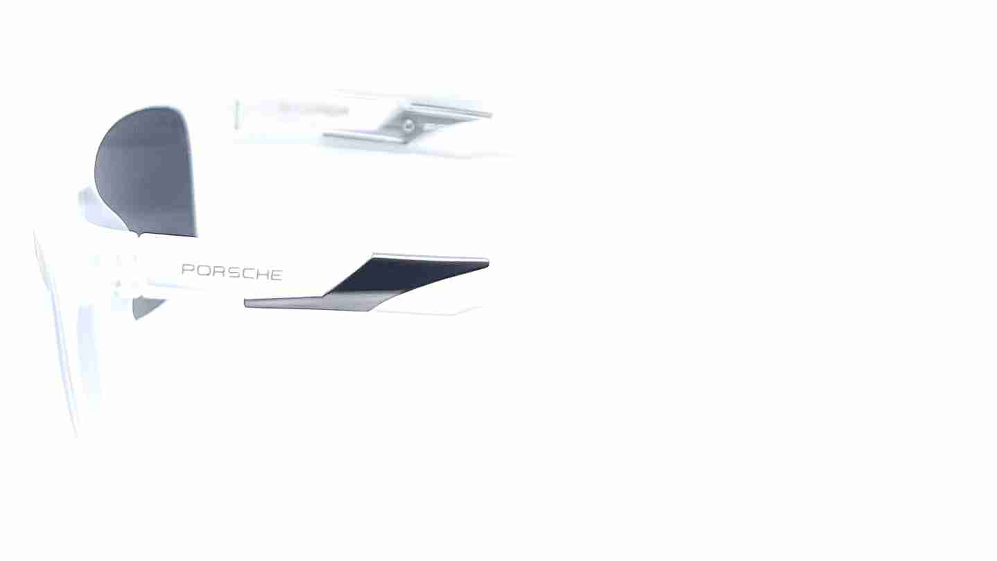 Porsche 8382 Polarized
