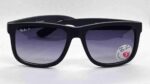 RayBan Polarized 4066