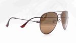 RayBan Aviator Classic Polarized - Image 5