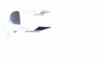 Porsche 8382 Polarized - Image 6