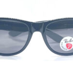 Ray Ban Wayfarer Polarized