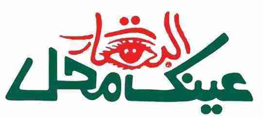 ainak-mahal-logo